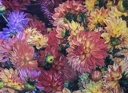 Color Inspiration - Flowers in Pike Place